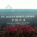 Diduga Terlibat Praktik Kartel Sawit, Lima Pabrik CPO di Pesisir Selatan Dilapor ke KPPU