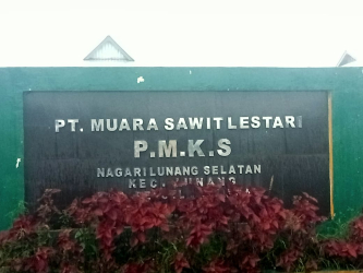 Diduga Terlibat Praktik Kartel Sawit, Lima Pabrik CPO di Pesisir Selatan Dilapor ke KPPU