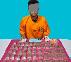 Duh! Pria Warga Pangkalan Kerinci Buka ‘Lapak’ Ganja di Rumah