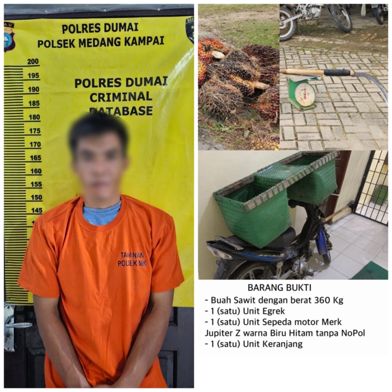 Gagal Mencuri Tetap Masuk Bui, Nasib Apes Maling Sawit di Teluk Makmur Dumai 