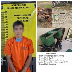 Gagal Mencuri Tetap Masuk Bui, Nasib Apes Maling Sawit di Teluk Makmur Dumai 