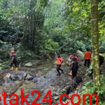 Dikira Main Dekat Rumah, Bocah 3,5 Tahun Hilang di Hutan Rao Utara