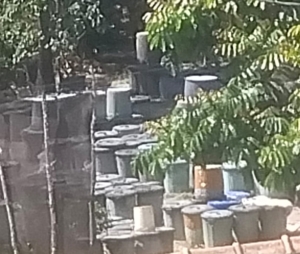 Pabrik Arak Skala Besar Beroperasi di Desa Kayu Besi Bangka Tengah, Luput dari Penindakan