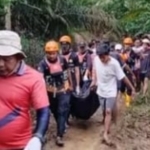 Pergi ke Kebun, Petani di Nagari Kajai Talamau Tewas Disapu Banjir