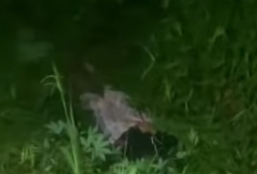 Sadis, Cewek Cantik Korban Begal Dibuang ke Parit di Binawidya Pekanbaru 