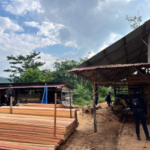 Polisi Gerebek Sawmill Ilegal di Kampar Kiri, Pemilik Ditangkap 
