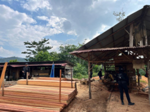 Polisi Gerebek Sawmill Ilegal di Kampar Kiri, Pemilik Ditangkap 