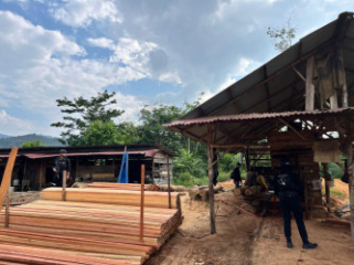 Polisi Gerebek Sawmill Ilegal di Kampar Kiri, Pemilik Ditangkap