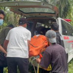 Gempar Temuan Mayat Membusuk di Kebun Sawit Desa Tambun Pelalawan 