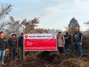 Puntung Rokok Picu Karhutla 5 Hektare di Rengat, Pelangsir Sawit Ditangkap 