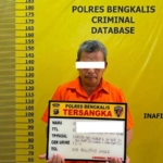 Laknat! PNS Gaek Cabuli Bocah 6 Tahun di Rupat, Organ Korban Berdarah 