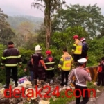 Tronton Masuk Jurang di Lembah Anai, Satu Penumpang Tewas