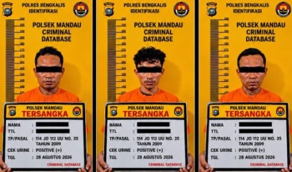 Tiga Pelaku Penyalahgunaan Narkotika Ditangkap di Pematang Pudu 