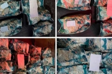 Geger Sabu 43 Kilo dalam Mobil Terparkir Depan Mall di Pekanbaru