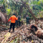 Pamit ke Kedai Beli Rokok, Kakek 75 Tahun di Desa Maini Tebingtinggi Barat Dilaporkan Hilang