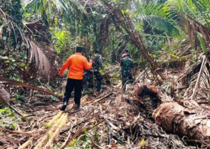 Pamit ke Kedai Beli Rokok, Kakek 75 Tahun di Desa Maini Tebingtinggi Barat Dilaporkan Hilang