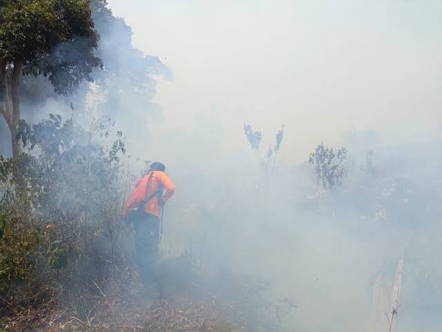 Pasca Kabut Asap Karhutla, Ratusan Warga Rohul Terjangkit ISPA