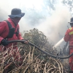 Riau Dikepung 447 Hotspot, Terbanyak di Pelalawan 