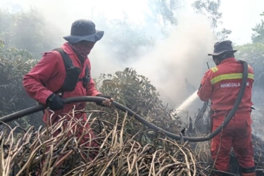 Riau Dikepung 447 Hotspot, Terbanyak di Pelalawan