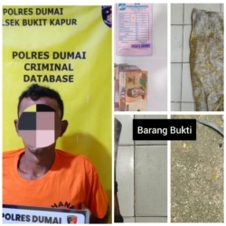 Nyaris Dipelupuh Massa, Maling Sawit Terpergok Beraksi di Bukit Nenas Dumai