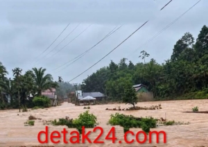 Pasaman Diterjang Banjir, Warga Simpang Tonang Hanyut dan Hilang