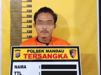 Polsek Mandau Ungkap Kasus Pencurian Buah Kelapa Sawit, Satu Tersangka Diamankan