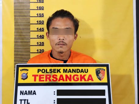 Polsek Mandau Ungkap Kasus Pencurian Buah Kelapa Sawit, Satu Tersangka Diamankan