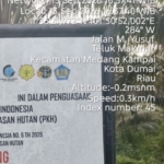Diduga, Oknum Pengusaha Sawit di Dumai Kuasai Kebun Sitaan Satgas PKH 