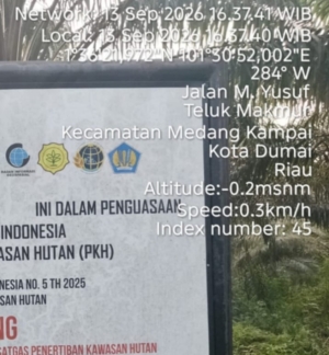 Diduga, Oknum Pengusaha Sawit di Dumai Kuasai Kebun Sitaan Satgas PKH 