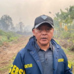 Ratusan Hektar Hutan Mangrove Dibabat di Sungai Sembilan Dumai, Seorang Ditangkap 