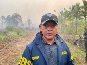 Ratusan Hektar Hutan Mangrove Dibabat di Sungai Sembilan Dumai, Seorang Ditangkap 