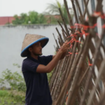 Rutan Dumai Ajak WBP Bercocok Tanam, Lahan SAE Disulap Jadi Kebun Kacang Panjang 