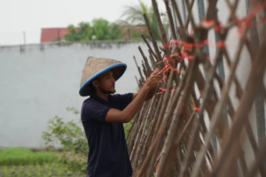 Rutan Dumai Ajak WBP Bercocok Tanam, Lahan SAE Disulap Jadi Kebun Kacang Panjang 