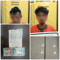 Mengganas Lagi, Sawit Hasibuan di Batuteritip Dumai Disikat Kawanan Maling