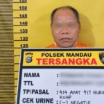 Polsek Mandau Amankan Pria 54 Tahun Terkait Dugaan Perbuatan Cabul di Bathin Solapan