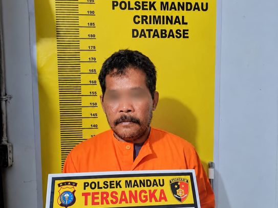 Ancam Tebas Pakai Parang, Pria 56 Tahun Diamankan Polsek Mandau