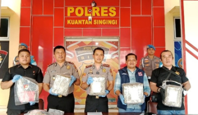 Dua Kurir Ganja 18 Kilo Dibekuk di Desa Jalur Patah Sentajo Raya Kuansing