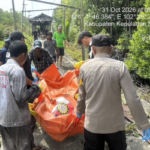 Pria Tewas Tak Bercelana di Kandang Sapi Desa Bokor Kepulauan Meranti 