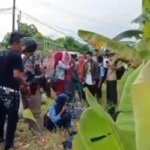 Empat Kritis, Ketua OKP Tabrak Siswi SMA hingga Tewas di Siak 